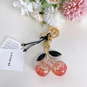 NWT Coach Signature Cherry Bag Charm